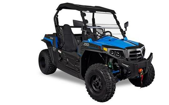 2024 STRIKE 250 - Hisun