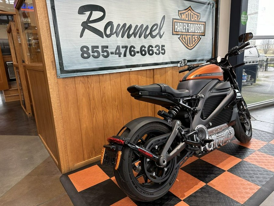 2020 Harley-Davidson LiveWire™ ELW