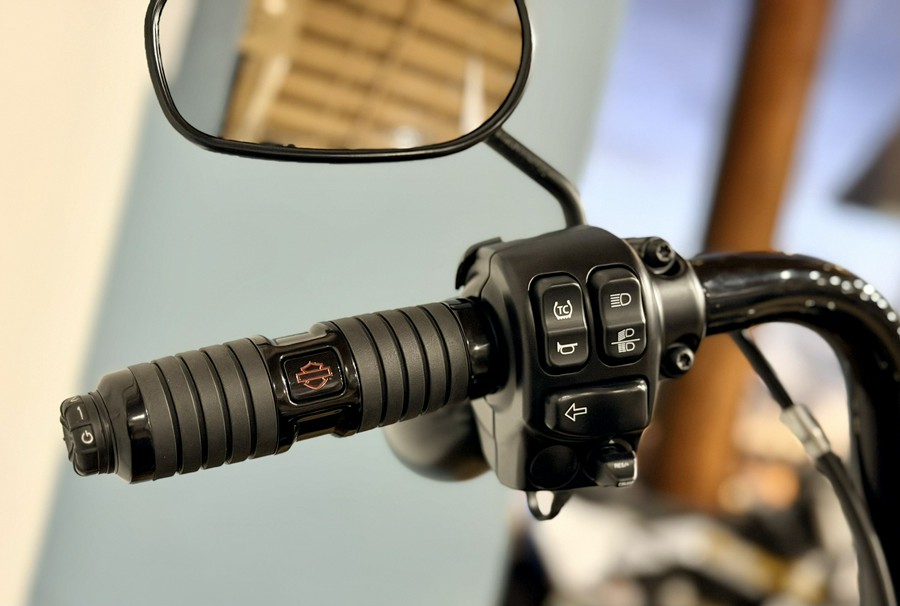 2025 Harley-Davidson Road King® Special