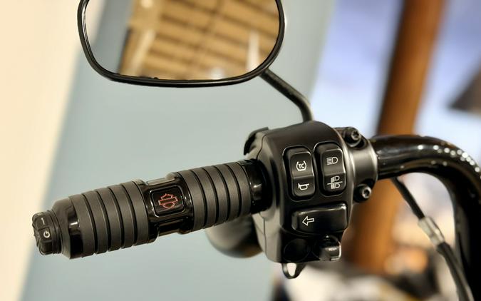 2025 Harley-Davidson Road King® Special