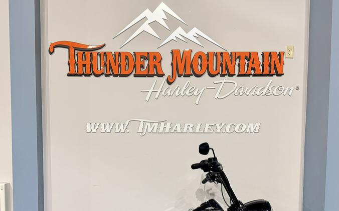 2025 Harley-Davidson Road King® Special