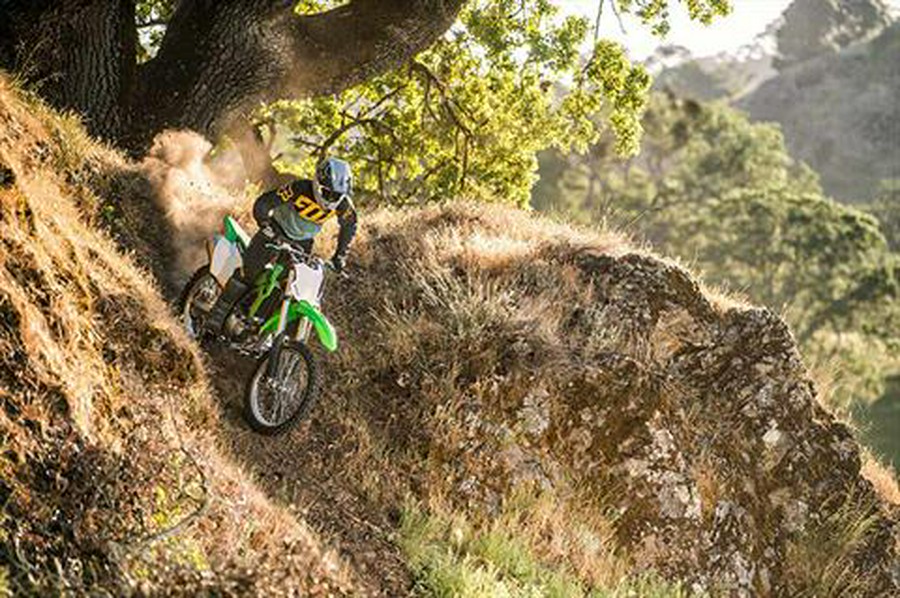 2022 Kawasaki KLX 300R