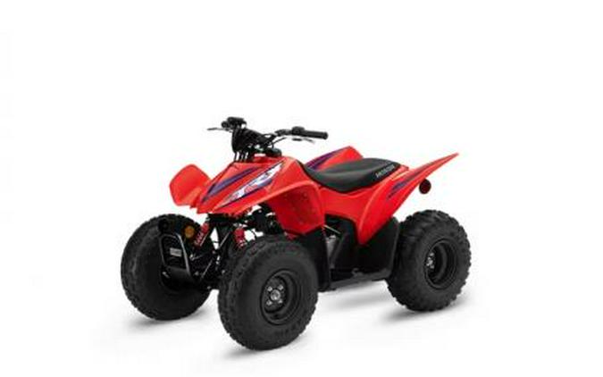 2024 Honda TRX® 90X