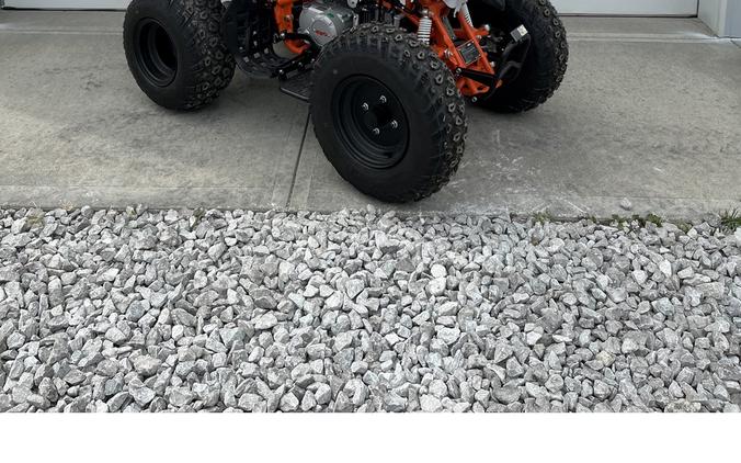 2026 Bull 150 EFI - Kayo