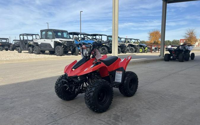 2026 Kayo Fox / Storm 70