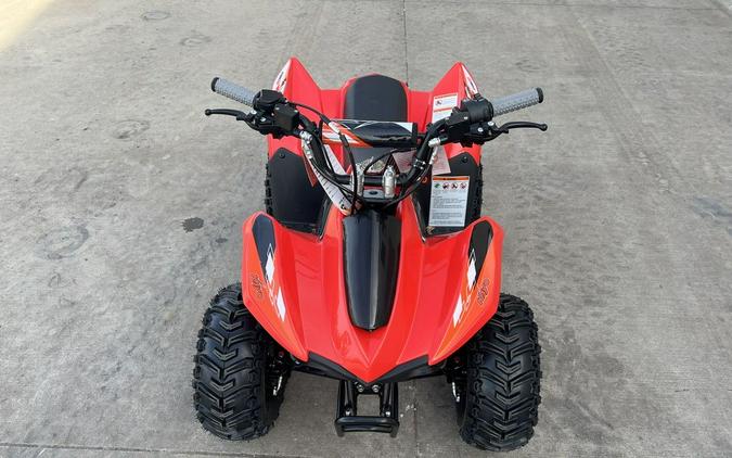 2026 Kayo Fox / Storm 70