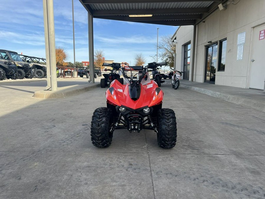 2026 Kayo Fox / Storm 70