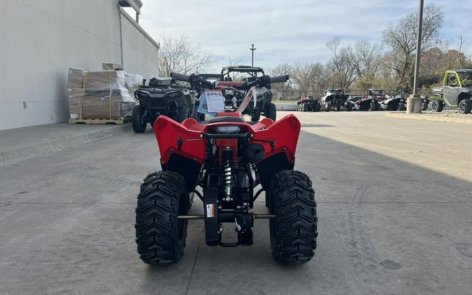 2026 Kayo Fox / Storm 70