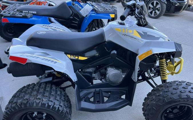 2024 Can-Am® Renegade 110 EFI