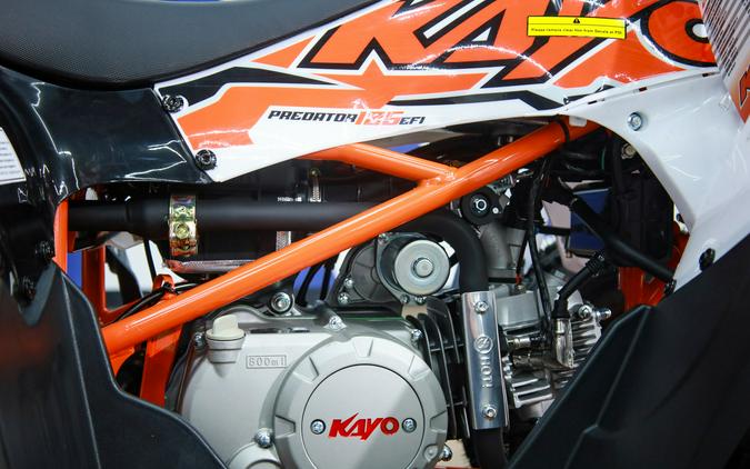 2025 Kayo Predator 125 EFI