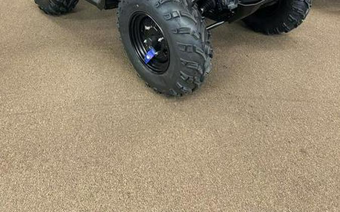 2025 Can-Am® Outlander DPS 500
