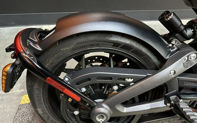2020 Harley-Davidson LiveWire ELW