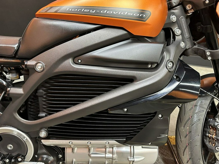 2020 Harley-Davidson LiveWire ELW