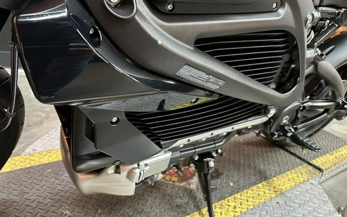 2020 Harley-Davidson LiveWire ELW