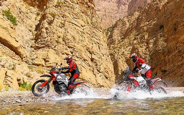 2025 Ducati DesertX 937 Rally