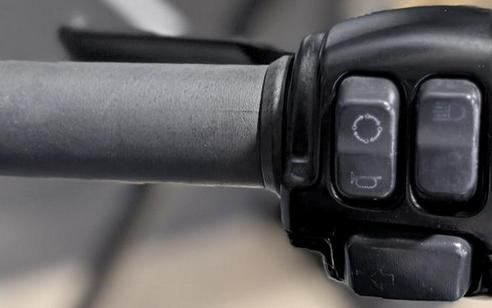 2020 Harley-Davidson® XL1200NS - Sportster® Iron 1200™