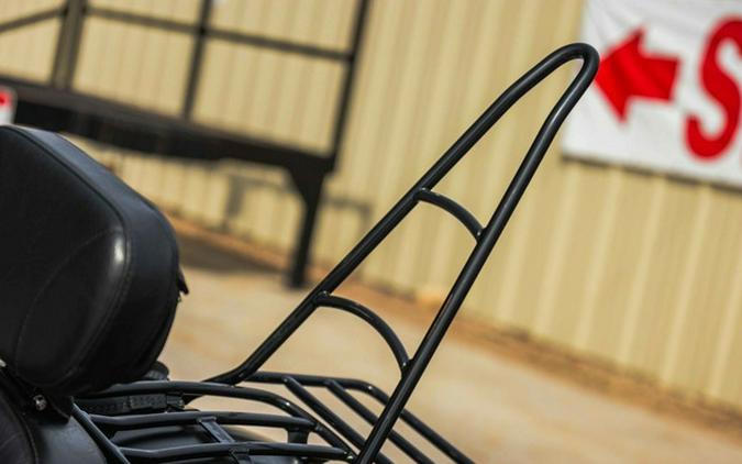2023 Indian Chief Dark Horse Black Smoke