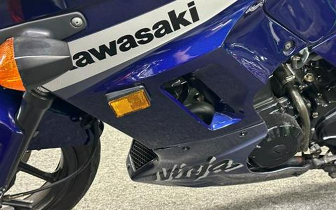 2004 Kawasaki Ninja® 250R