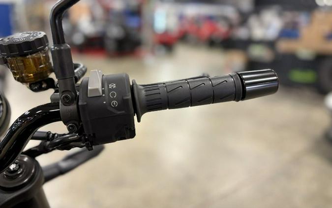 2026 Kawasaki Z900RS