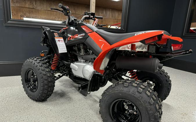 2026 Can-Am DS 250