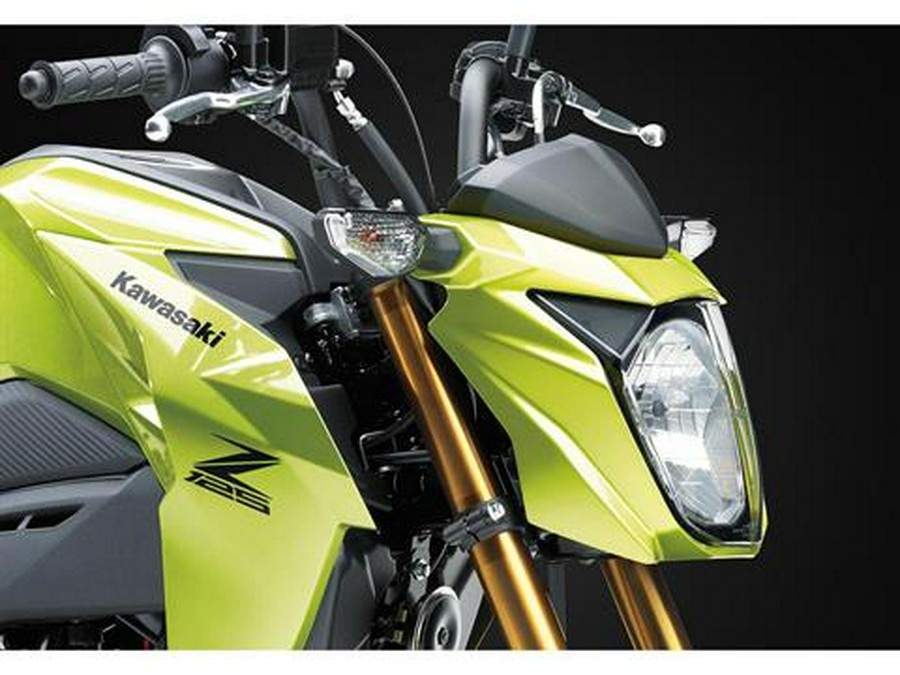 2026 Kawasaki Z125 Pro
