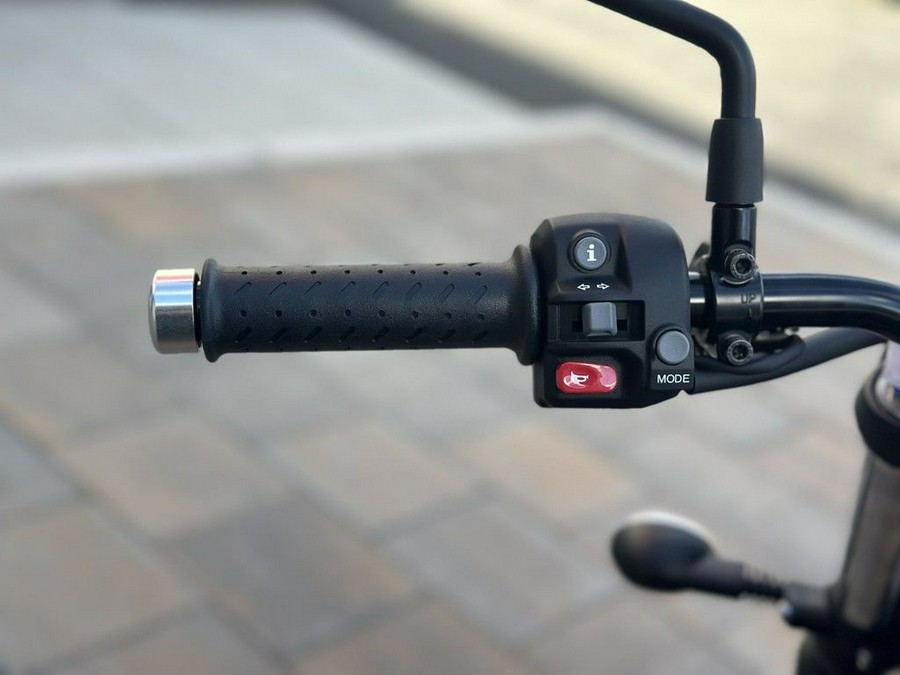 2024 Triumph Speed Twin 900 Competition Green/Phantom Black