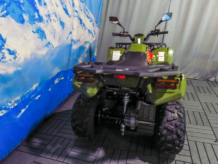 2025 Kayo Bull 300 EFI 300 EFI