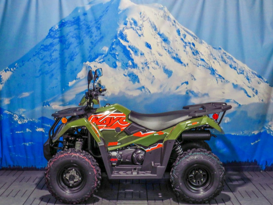 2025 Kayo Bull 300 EFI 300 EFI