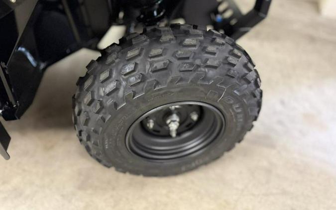 2026 Kawasaki Mule SX™