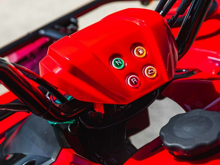 2025 Yamaha Grizzly 110