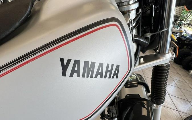 2025 Yamaha TW 200