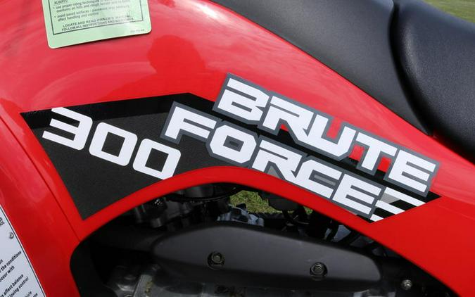 2024 Kawasaki Brute Force® 300