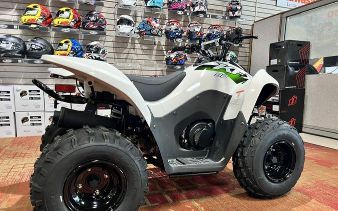 2027 Kawasaki KFX®90