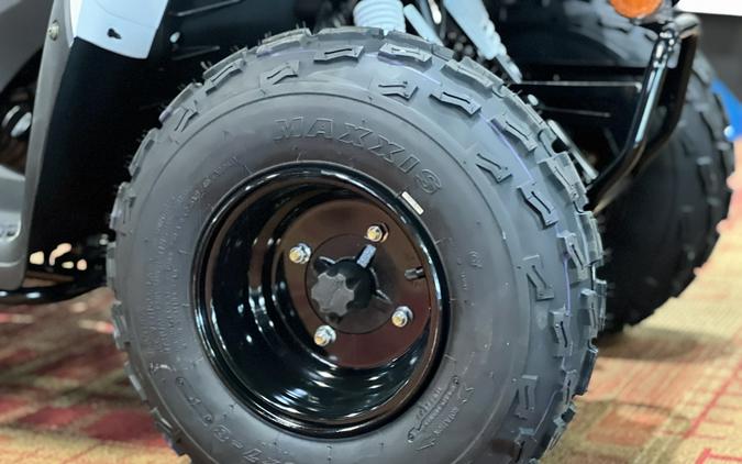 2027 Kawasaki KFX®90
