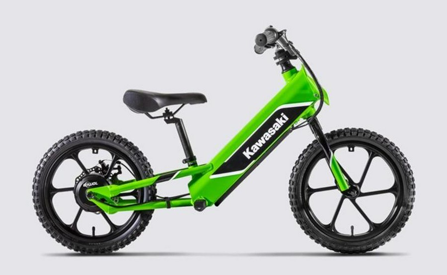 2023 Kawasaki Elektrode™