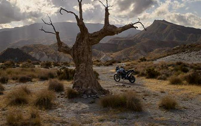 2026 Triumph Tiger 900 Desert Edition