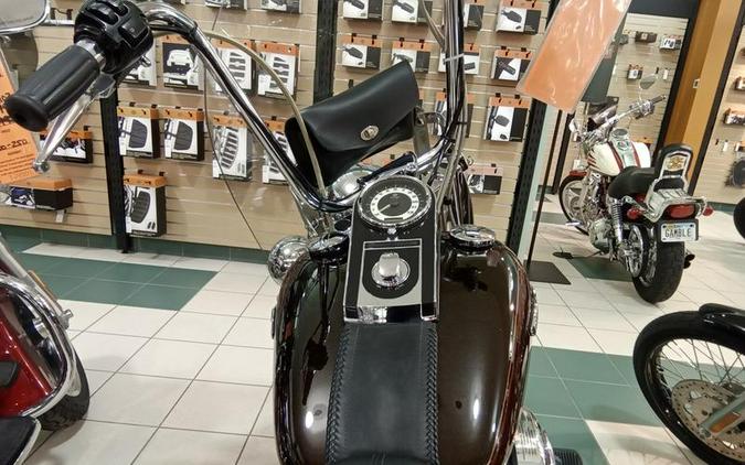 2011 Harley-Davidson® FLSTN - Softail® Deluxe