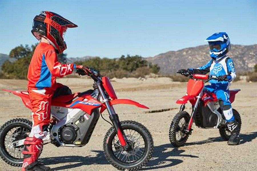 2021 Greenger Powersports CRF E-2