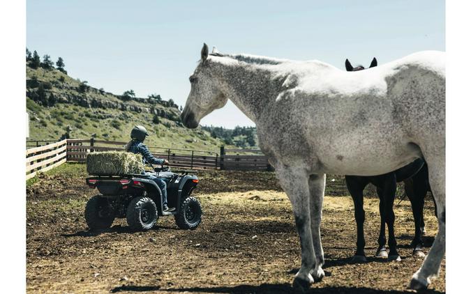 2026 CFMOTO CForce 400