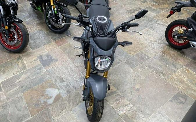 2024 Kawasaki Z125 PRO