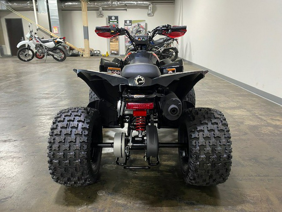2026 Can-Am Renegade X xc 110 EFI - Black and Legion Red