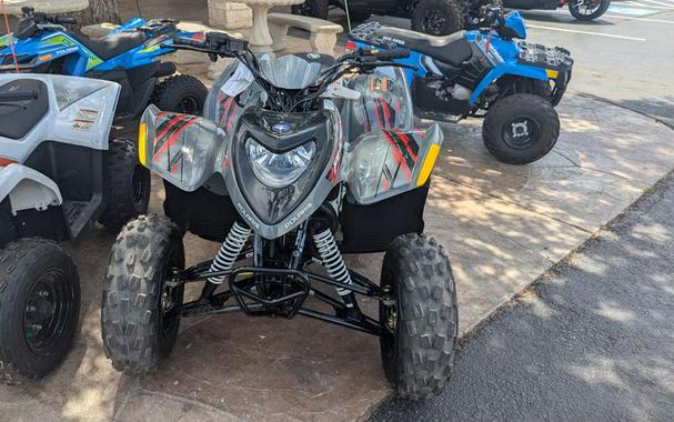 New 2024 POLARIS PHOENIX 200 AVALANCHE GRAY