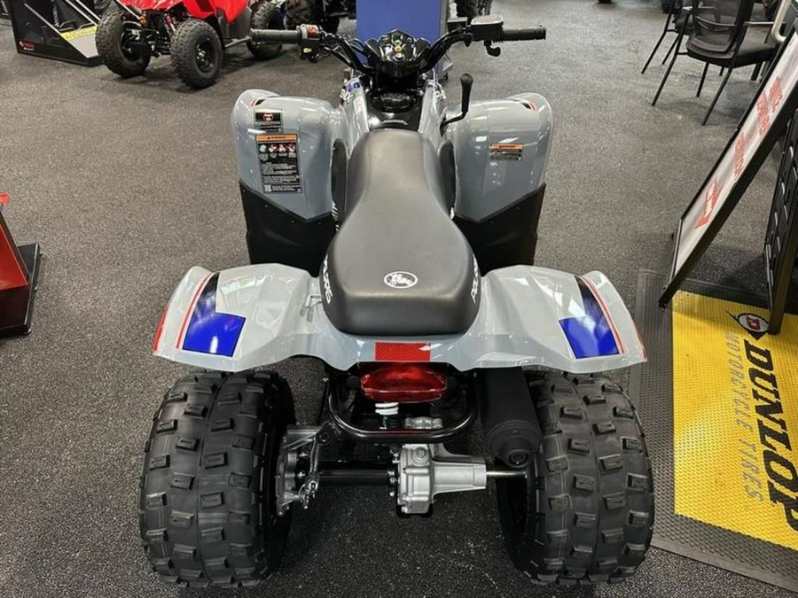 2025 Polaris® Phoenix 200
