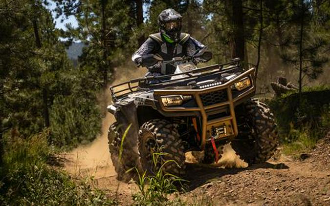 2023 Arctic Cat Alterra 600 Black Hills Edition