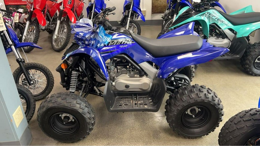 2023 Yamaha RAPTOR 90