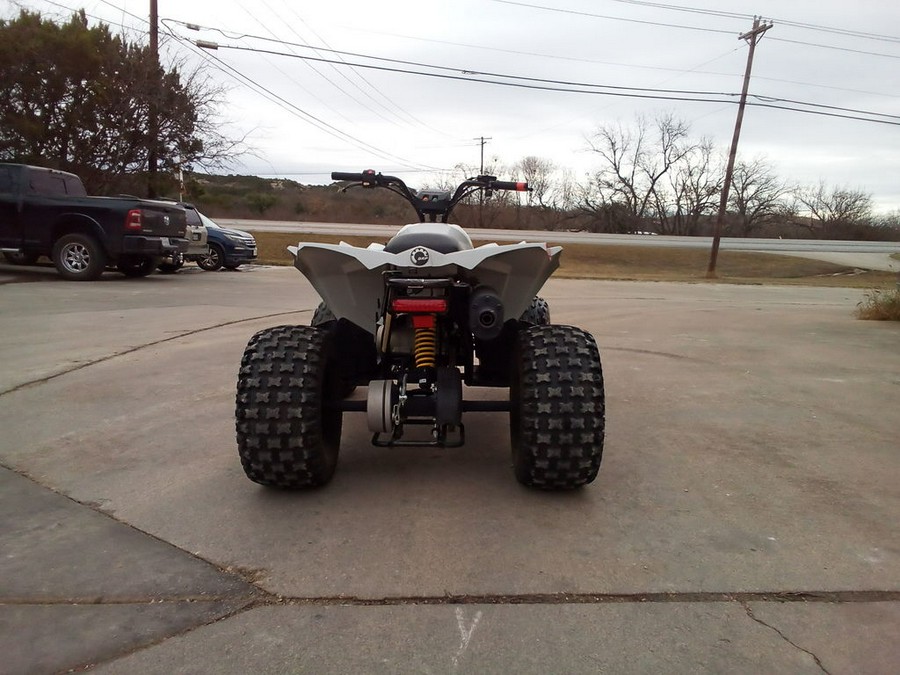 2023 Can-Am Renegade 110 EFI