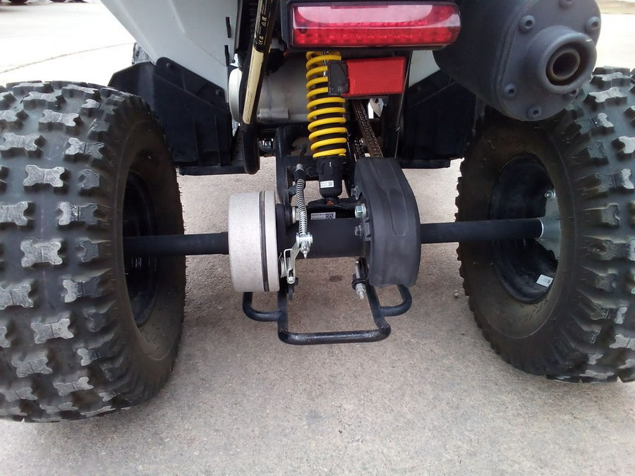 2023 Can-Am Renegade 110 EFI