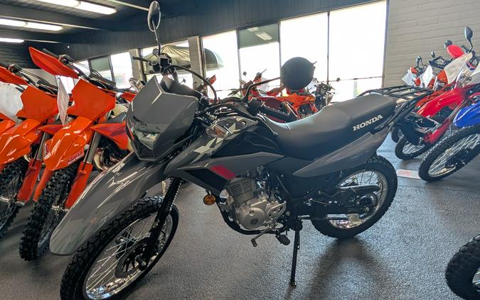 2026 Honda XR150L Gray - 301046