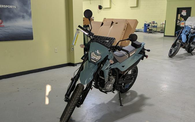 2025 Kawasaki KLX 300SM