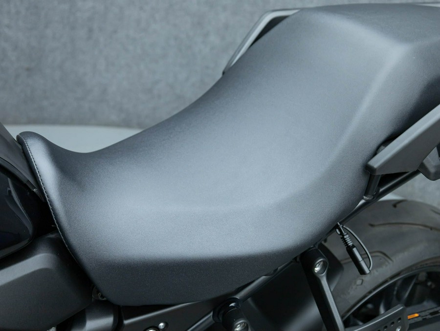 2025 HARLEY DAVIDSON RA1250ST PAN AMERICA 1250 ST W/ABS
